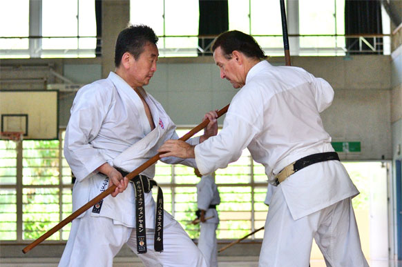 A wealth of hands-on karate programs