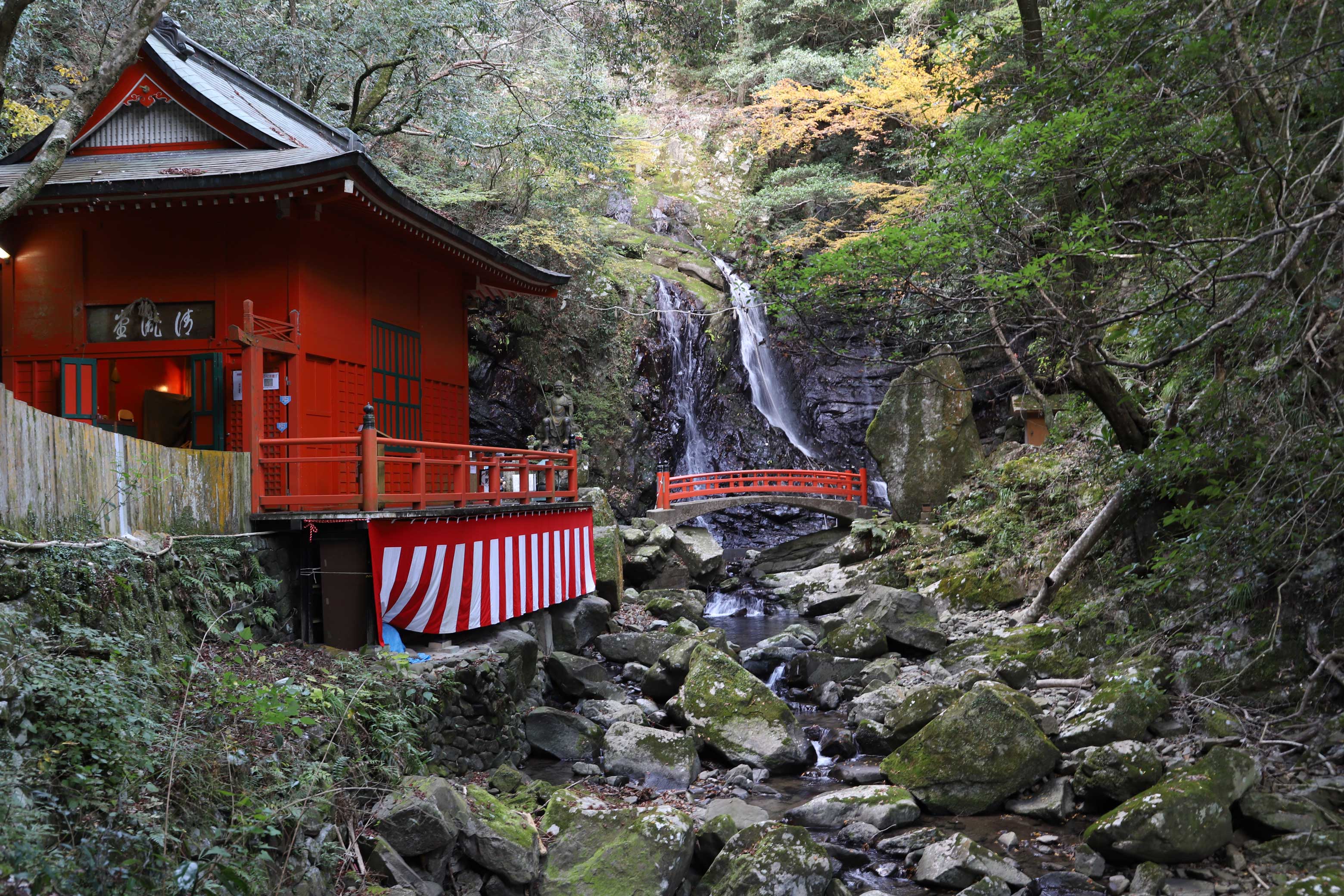 Visit Japan's oldest sacred place to experience traditional culture