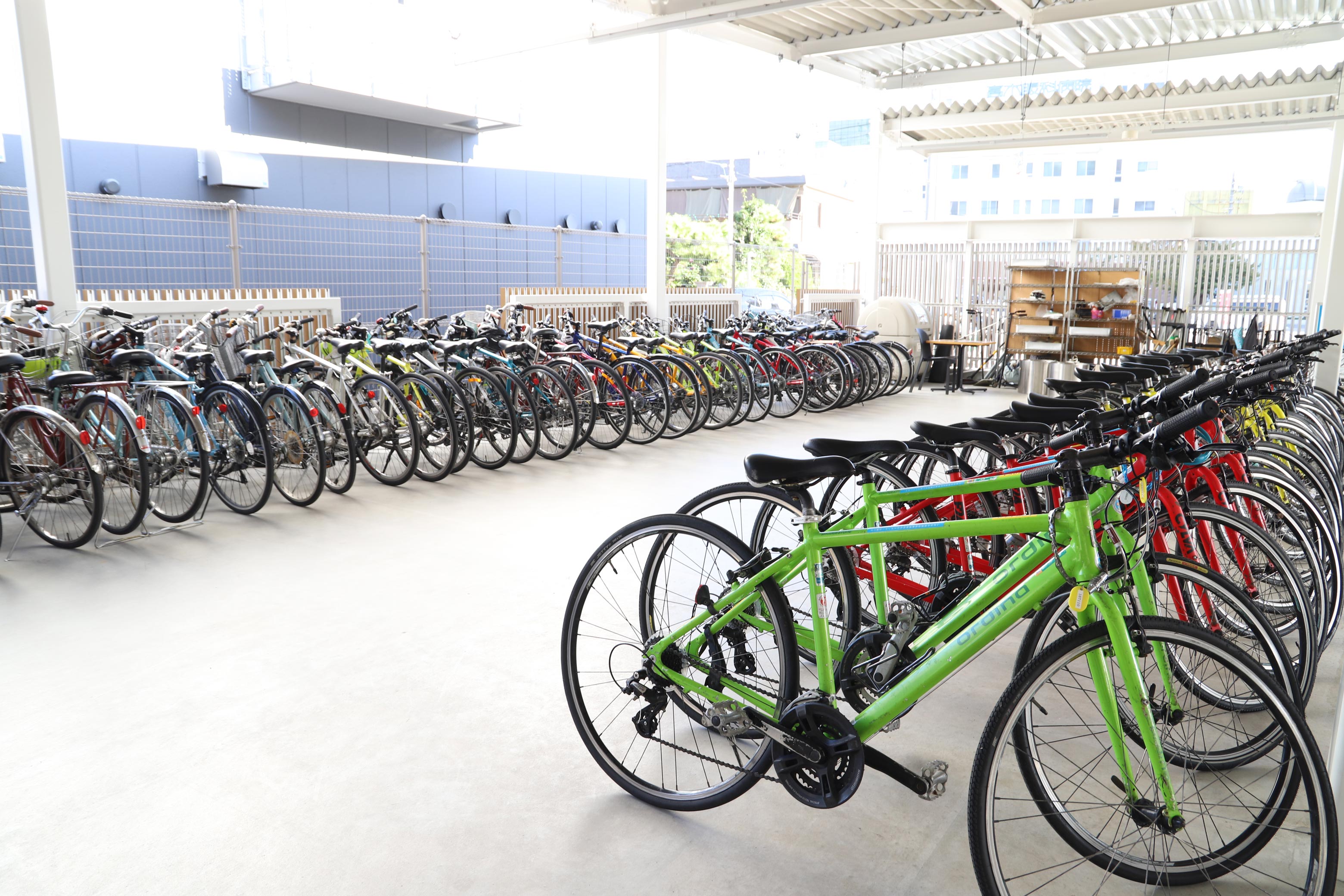Beginner-friendly substantial bike rental and services