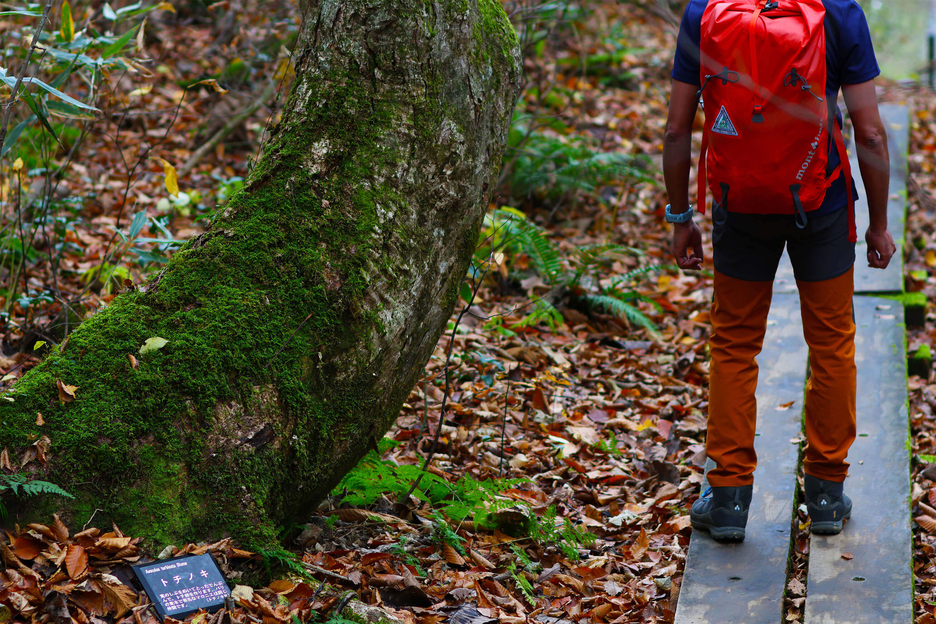 クリエイティブアート101デザインズ