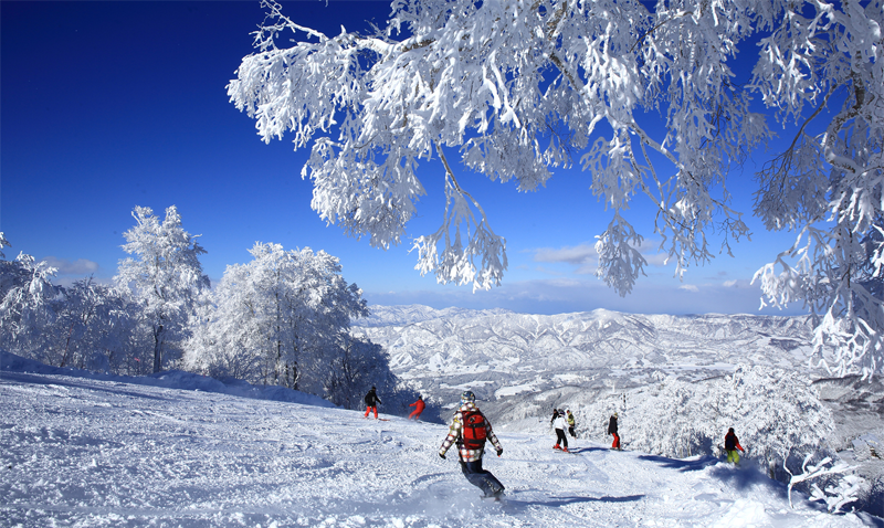 Ski Association of Nagano