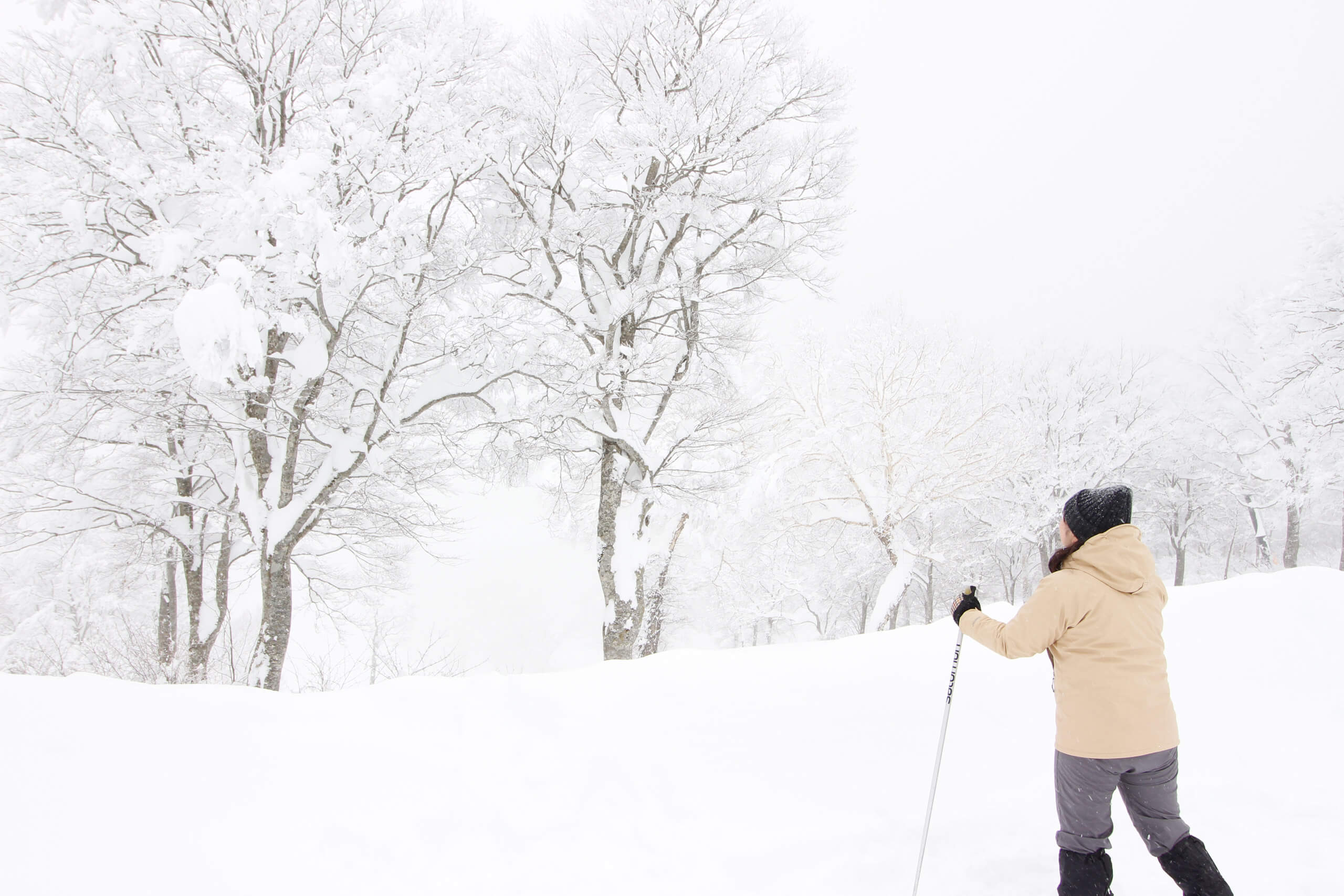 長野県スキー連盟